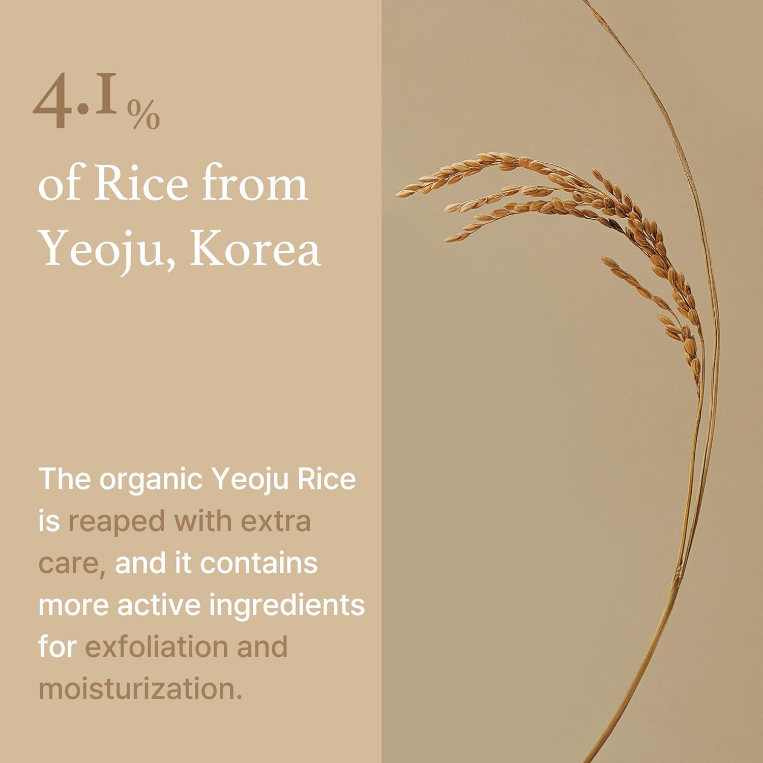 I'm From Rice Mask 110g - Skin korea