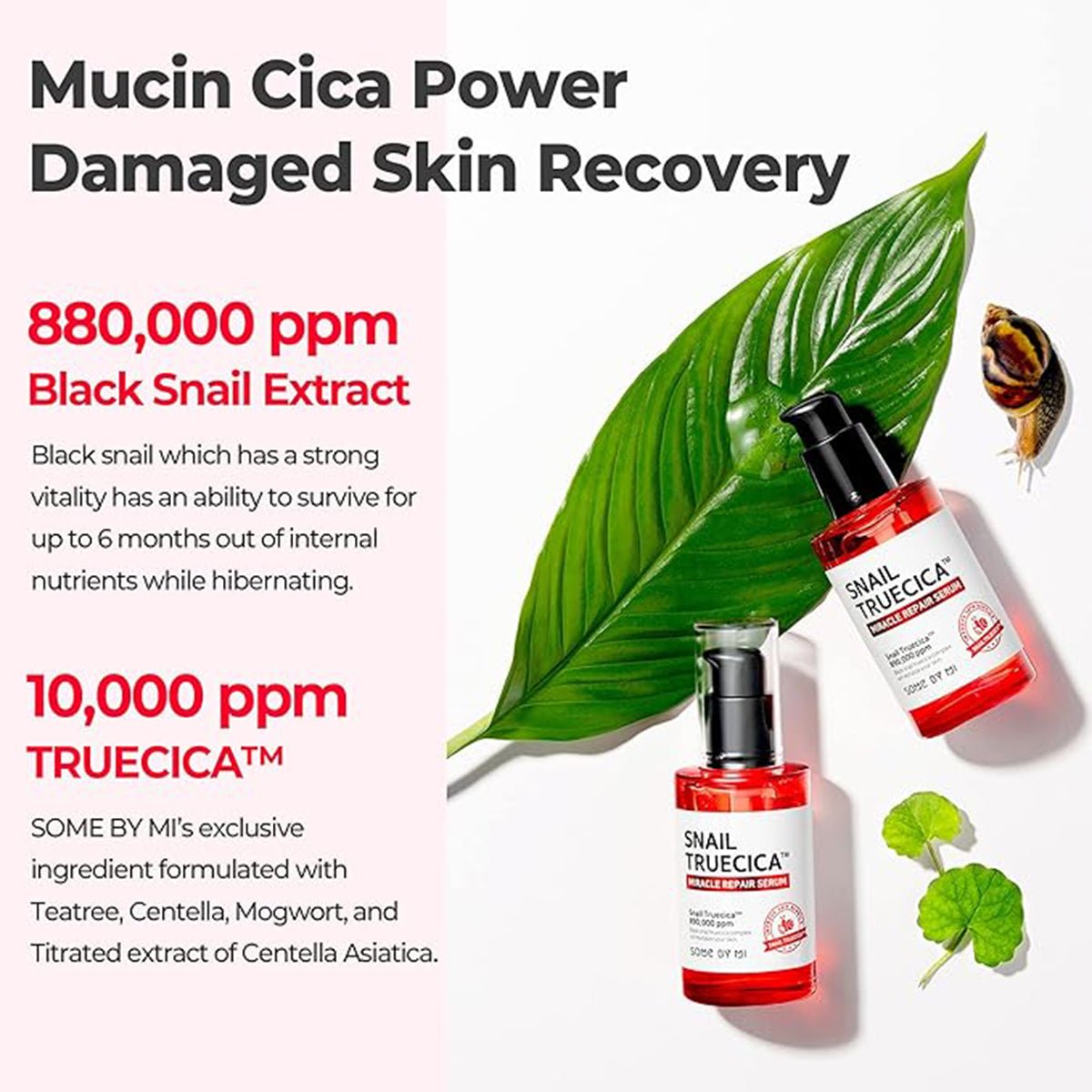 Some By Mi Snail Truecica Miracle Repair Serum - Skin korea